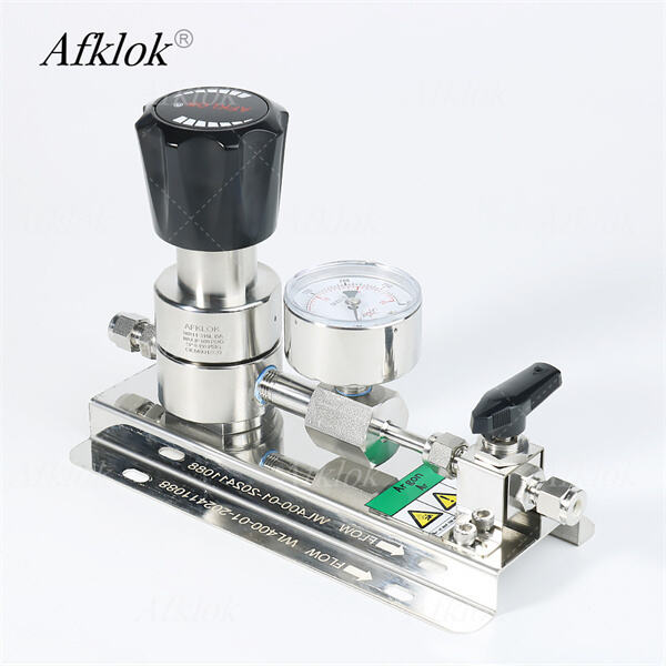 Bộ điều chỉnh áp suất dòng chảy cao cho quản lý khí gas hiệu quả