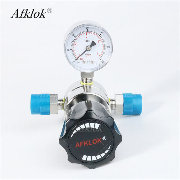 Choosing the Right Oxygen Regulator for Home Medical Use