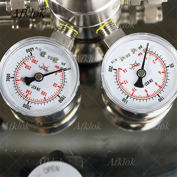 Mantenimento del Controllo della Qualità con Regolatori ad Alta Pressione per CO2