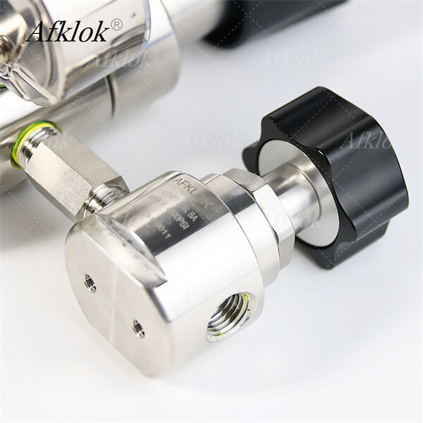 Trải nghiệm khả năng kiểm soát khí carbon hóa chính xác với bộ điều chỉnh CO2 kép