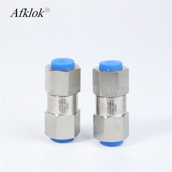Preventing backflow and ensuring fluid safety with a stainless steel check valve.