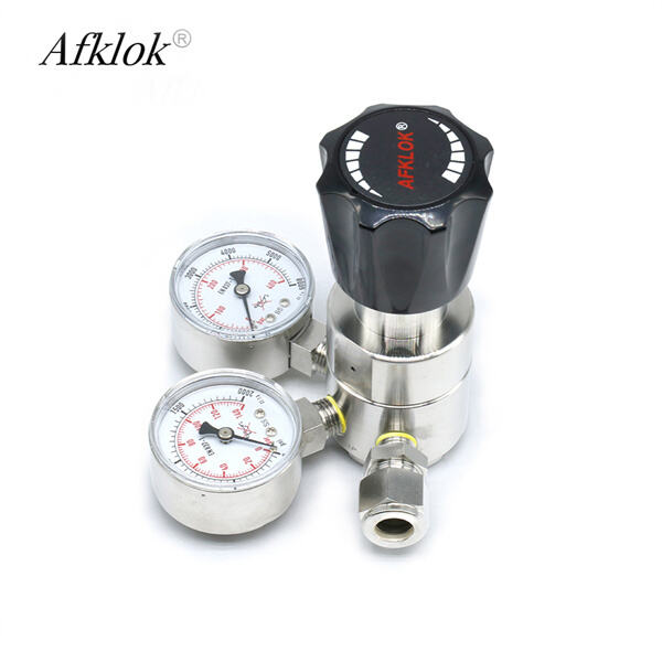 Đổ chính xác với bộ điều chỉnh nitơ thép không gỉ