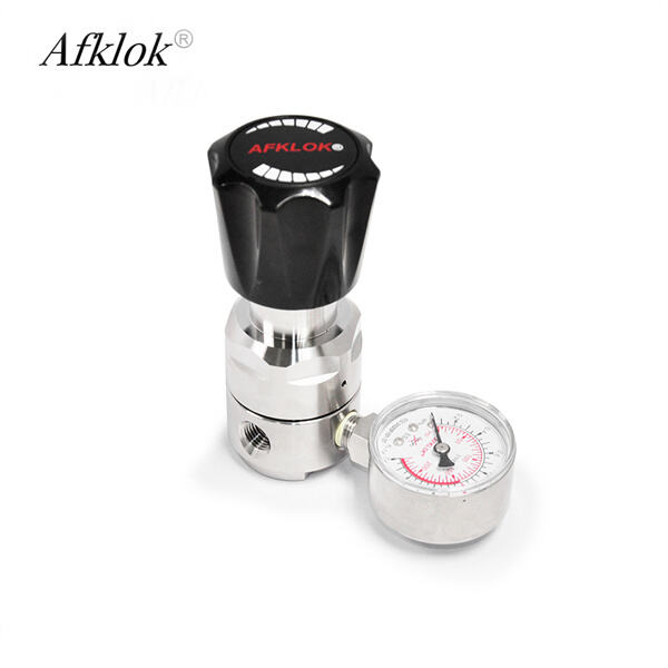 Tối ưu Hiệu suất của Hệ thống với Bộ điều chỉnh Áp lực 10 PSI