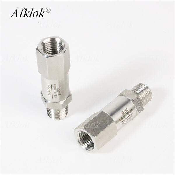 Why stainless steel check valves are a popular choice.