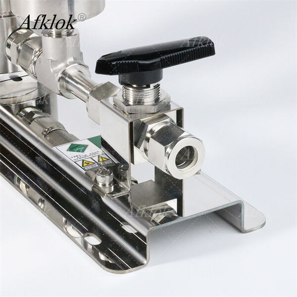 Loại Bỏ Sự Đoán Đoán và Tối Ưu Hóa Việc Cung Cấp Oxy với Đồng Hồ Áp Suất của Chúng Tôi