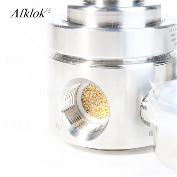 Una Guida ai Regolatori con Manometro