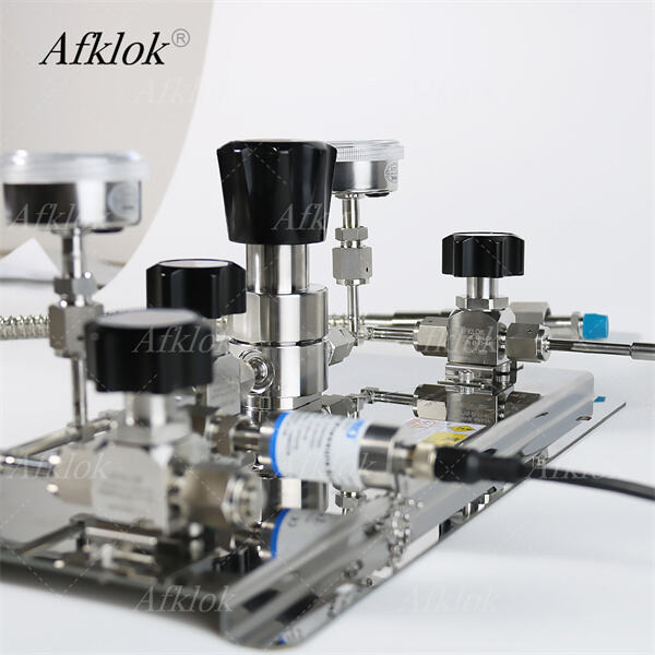 Khắc phục các vấn đề phổ biến với bộ điều chỉnh áp suất khí nitơ