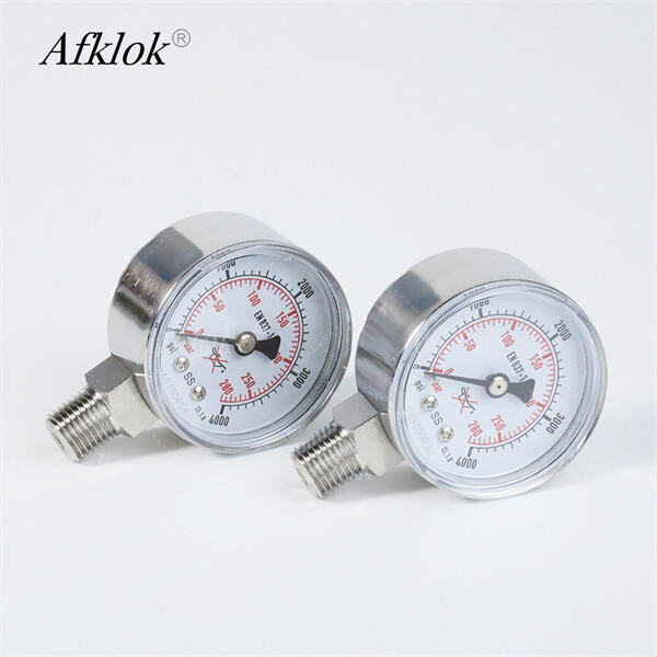 Stainless Steel Pressure Gauge - A Must-Have for Hygienic Applications