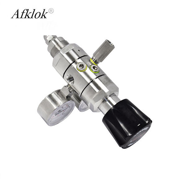 Trải Nghiệm Độ Chính Xác Tuyệt Đối Với Thiết Kế Hoàn Hảo Bộ Giảm Áp Nitơ 6000 psi