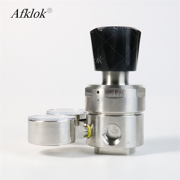 Preserving Your Equipment and Product Quality with a High-Performance CO2 Pressure Regulator.