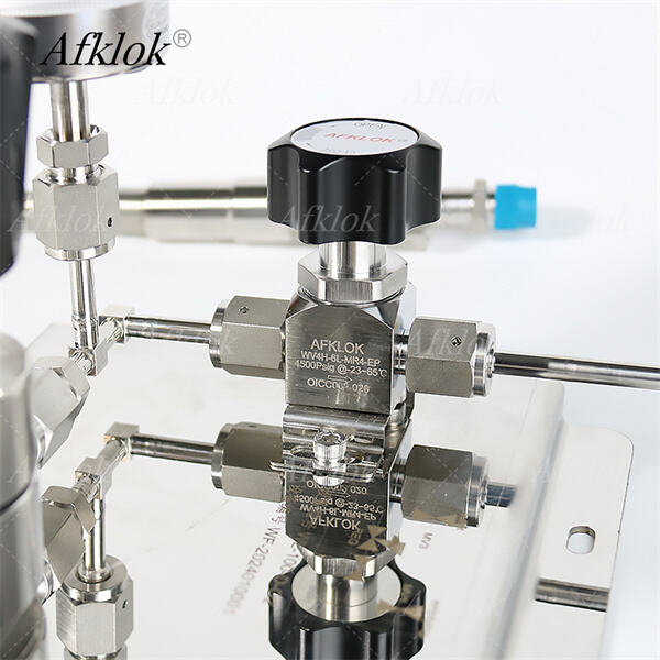 Hiệu suất lâu dài từ bộ điều chỉnh áp suất thép không gỉ