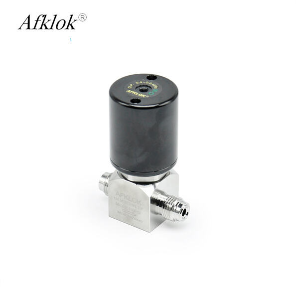 Maintenance and Replacement of Pneumatic Valve Diaphragms
