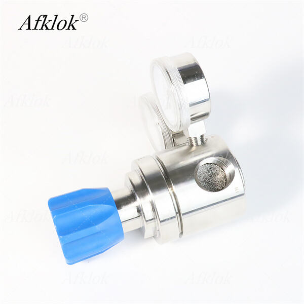 Don't Let Pressure Get the Best of Your CO2 Tank - Invest in a Regulator