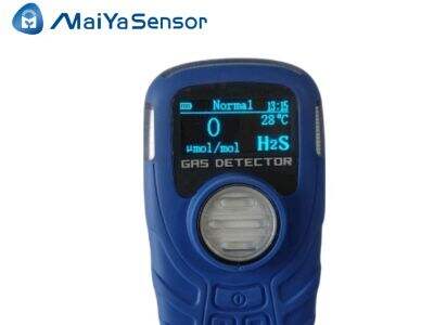 Partnering with Maiya for Comprehensive Gas Detection Solutions