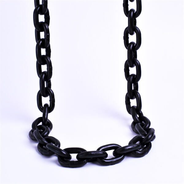 أسعار تنافسية للطلبات الكبيرة من سلاسل الفولاذ السبائكي