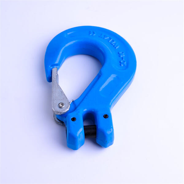 Starker und zuverlässiger Clevis-Sling-Haken für Kran- und Hebungsanwendungen