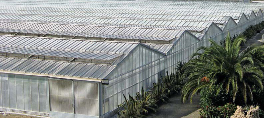 Greenhouse