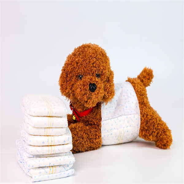 No More Messy Cleanups with Disposable Dog Diapers.