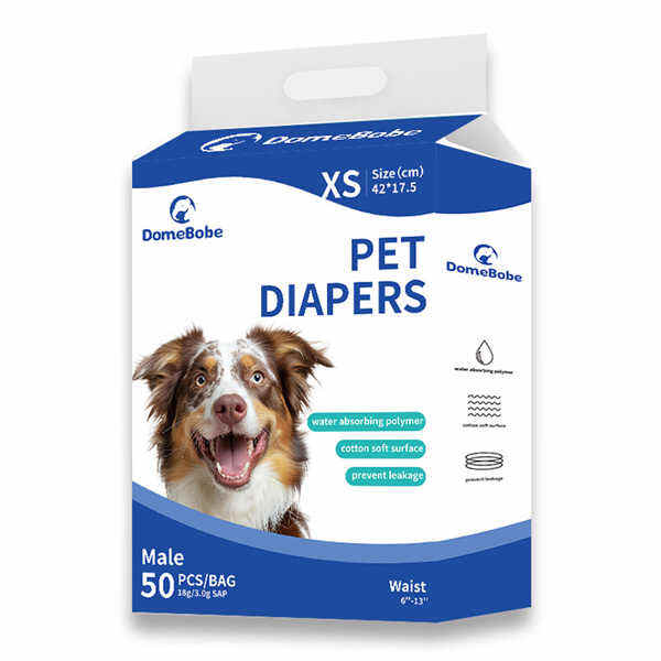 Say Yes to Adventures with Male Puppy Diapers - No More Distractions