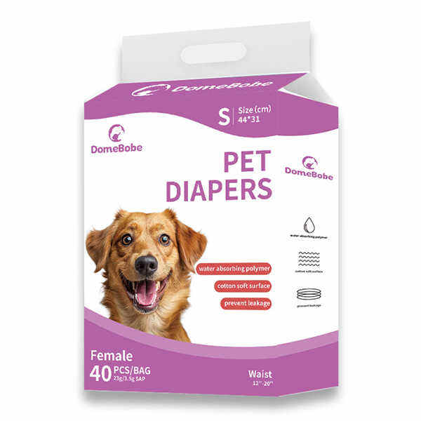 Protecting Your Home with Small Male Dog Diapers