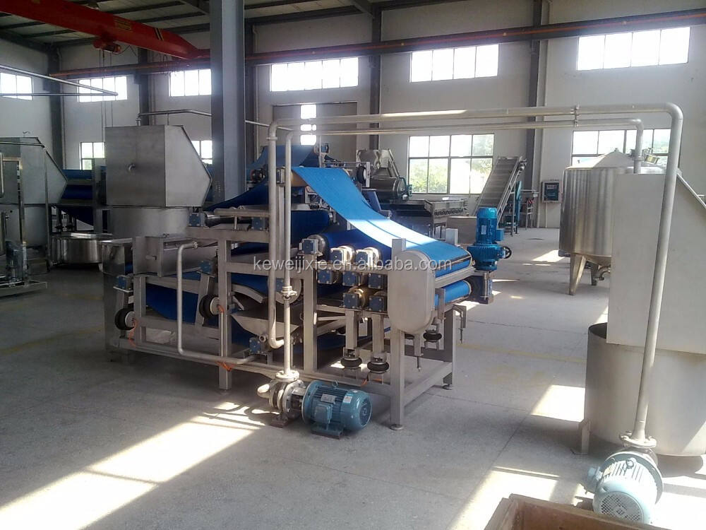 Cold Press Juice Machine/Fruit Juicer Machine supplier