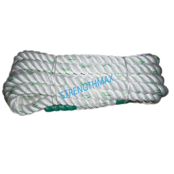 Transform Your Fitness Routine with Dumbbell Battle Rope Exercises