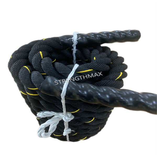 The Importance of a Sturdy Anchor for Battle Rope Workouts