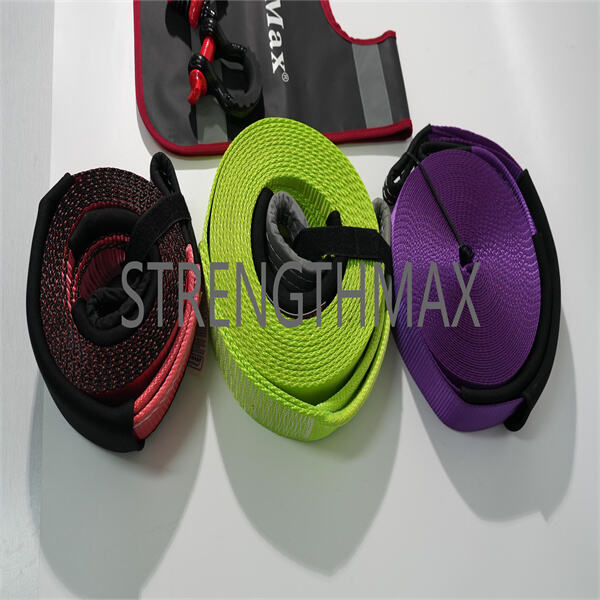 Eich Cyfaill Credadus i Lywio.