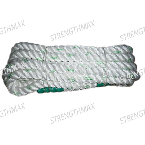 Dumbbell Battle Rope Challenges