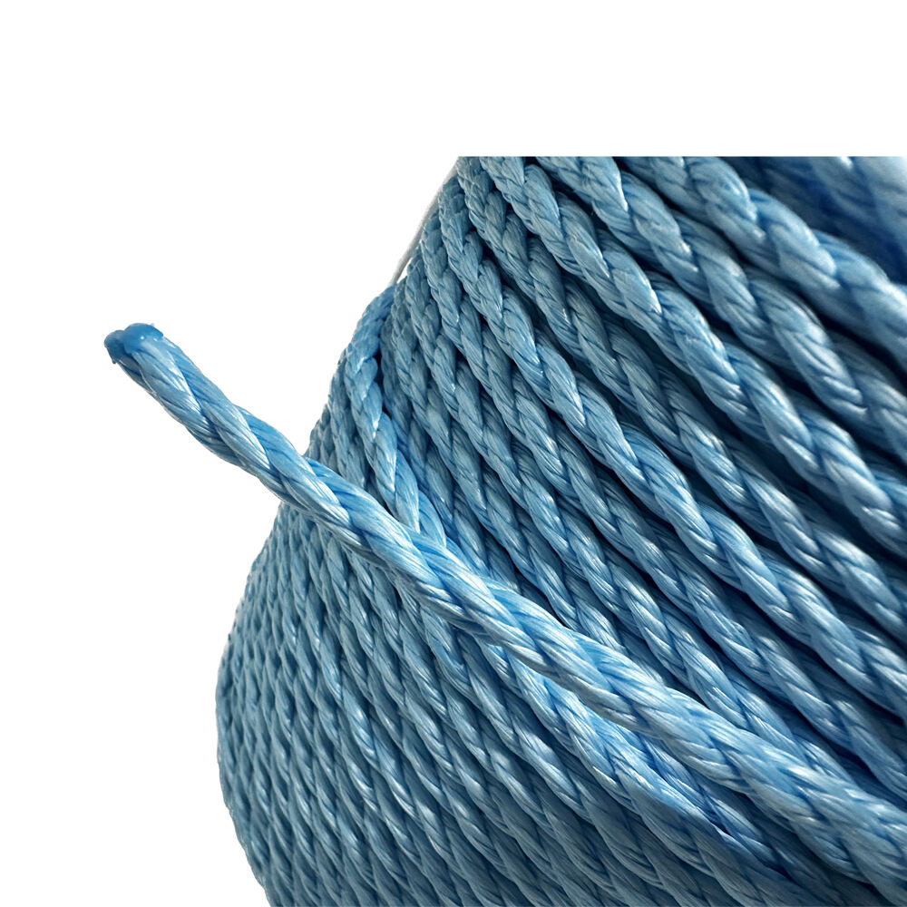 pp rope 1