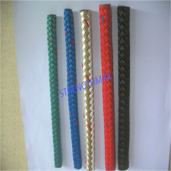 The Year of Enlightenment and Progress