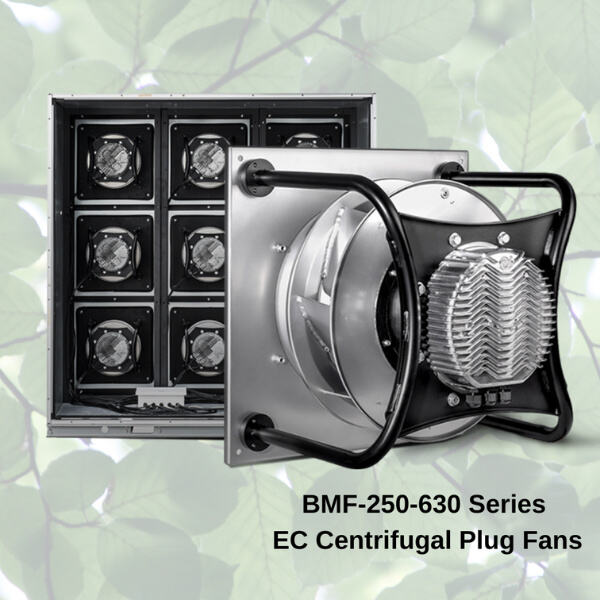 Understanding the design and mechanics of a radial plug fan