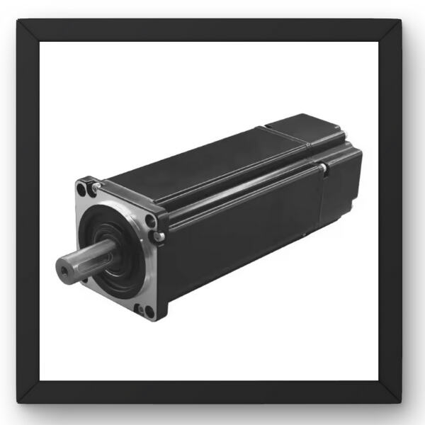 Maintenance tips for a 24 volt brushless DC motor