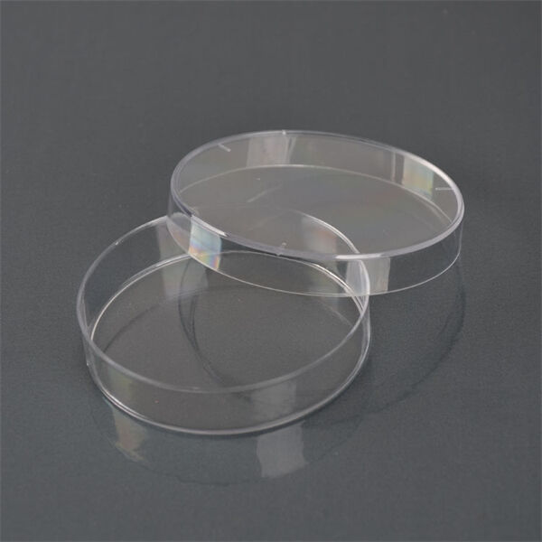 Desvendando os mistérios da biologia celular com a placa de Petri