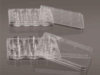What Makes Filter Tips Critical for Sensitive PCR Applications