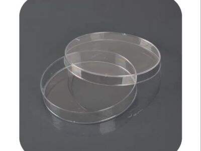 The Benefits of Glass Petri Dishes and Plastic Petri Dishes