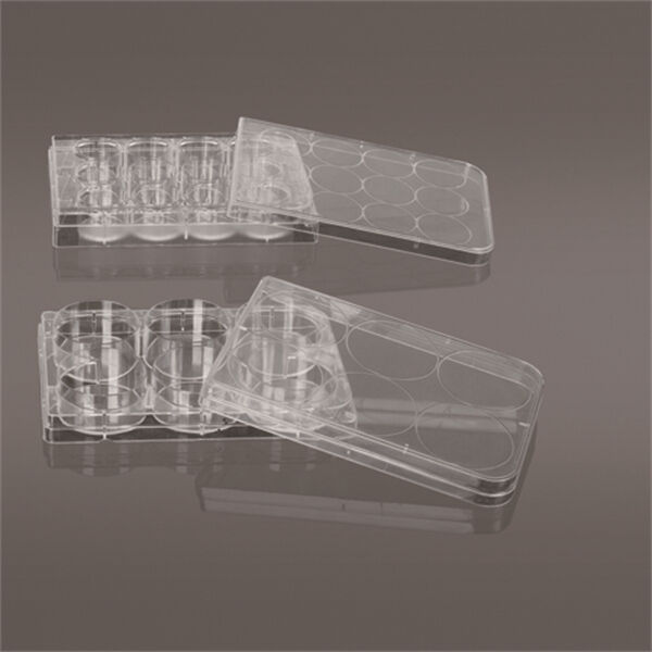 Teknologiske fremskridt indenfor PCR-plate for hurtigere og mere effektive resultater