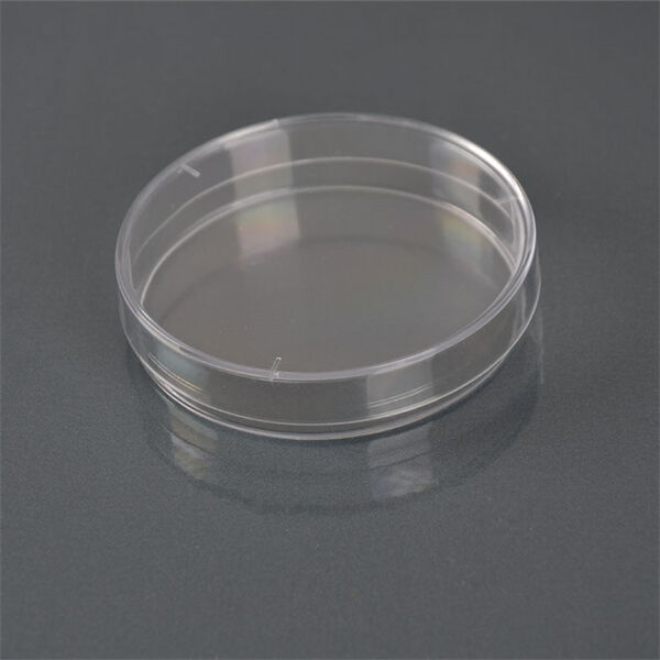 Usando a placa de Petri para estudar novos tratamentos e terapias