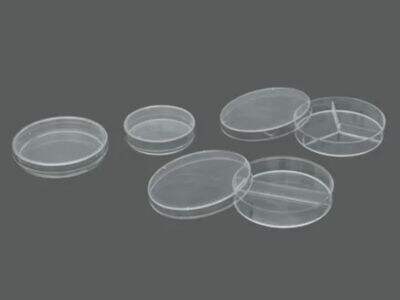 The Future of Using Petri Dishes in Scientific Research.