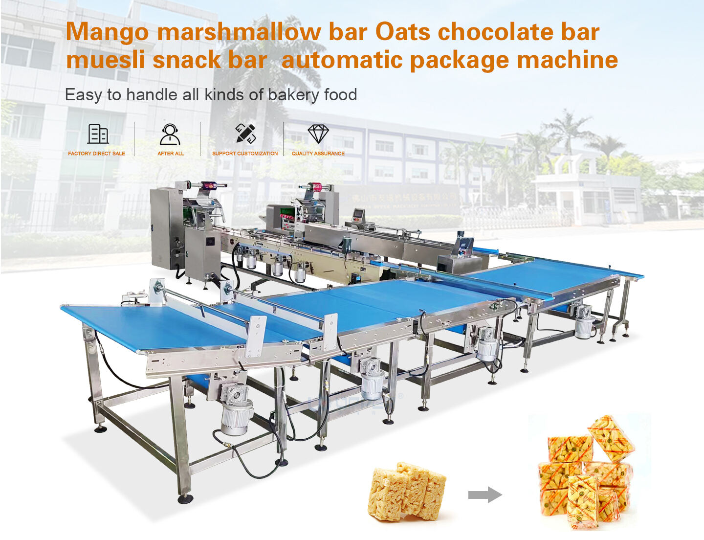 Bounty conveyor packaging line and packing machine for pastry chocolate bar play dough details