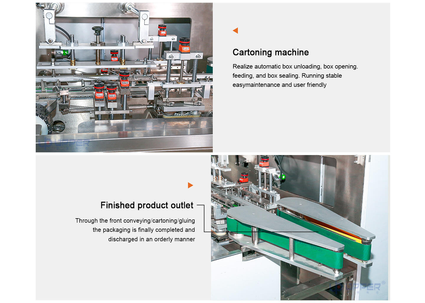 Horizontal automatic sorting Barbecue frozen meat cartoning Machine food secondary packaging manufacture