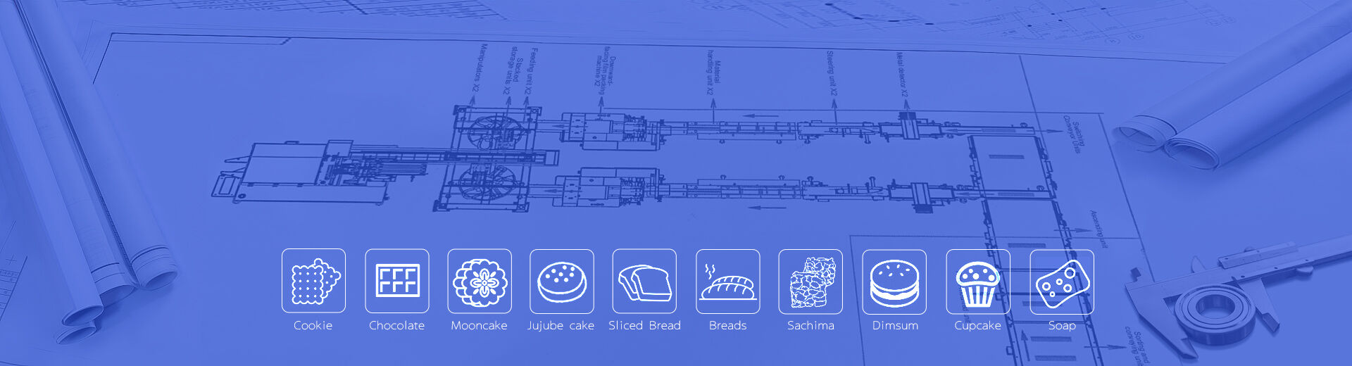 CUSTOMIZED AUTOMATIC FEEDING AND PACKAGING LINE