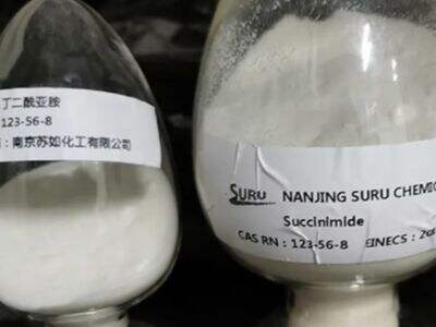 The Role of Succinimide in Drug Delivery and Formulation