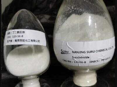 The Promise of Succinimide-Based Drugs for the Future of Medicine