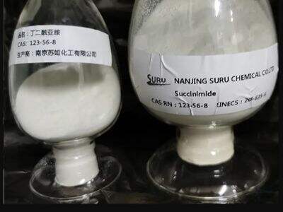 Succinimide: The Key to Unlocking Novel Drug Molecules