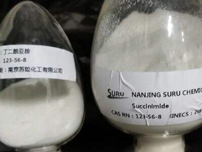 The Chemistry and Pharmacology of Succinimide Prodrugs