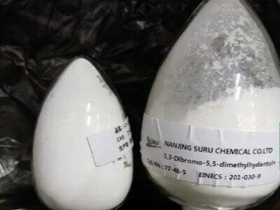 Antimicrobial Efficacy of 1,3-Dibromo-5,5-dimethylhydantoin in Water Treatment