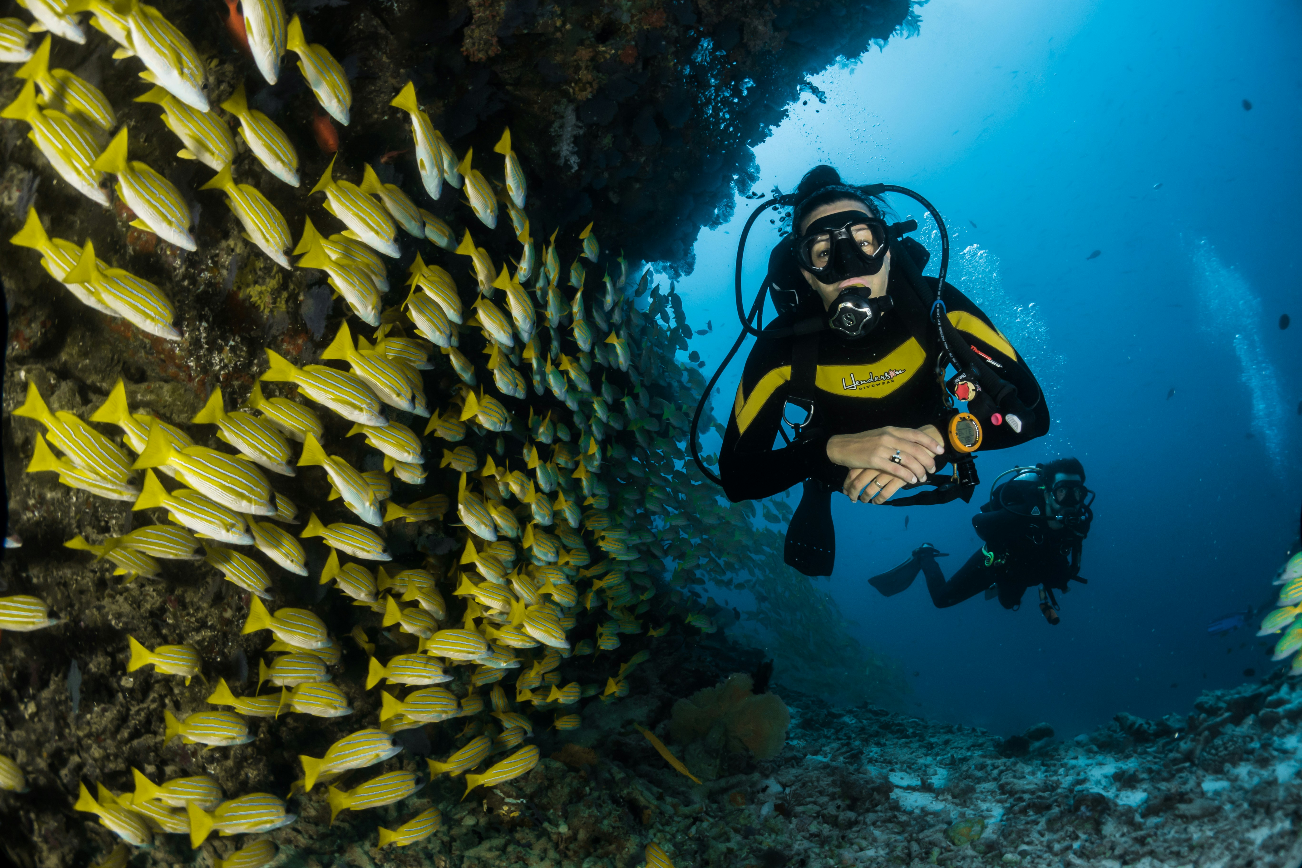 cara mengekalkan topeng menyelam dan snorkel anda untuk umur panjang