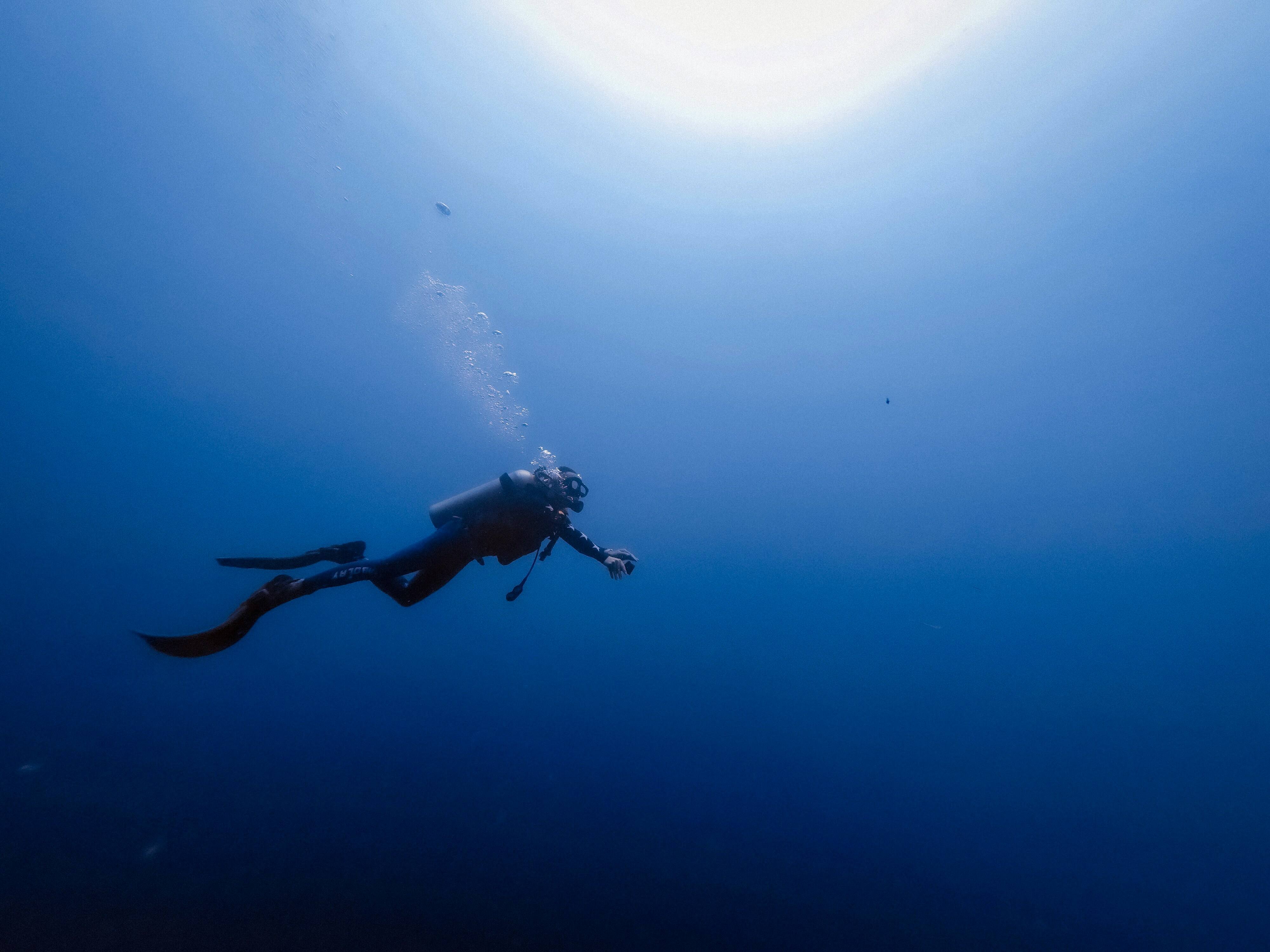 Cómo elegir la máscara y las aletas de buceo adecuadas para tu próxima inmersión