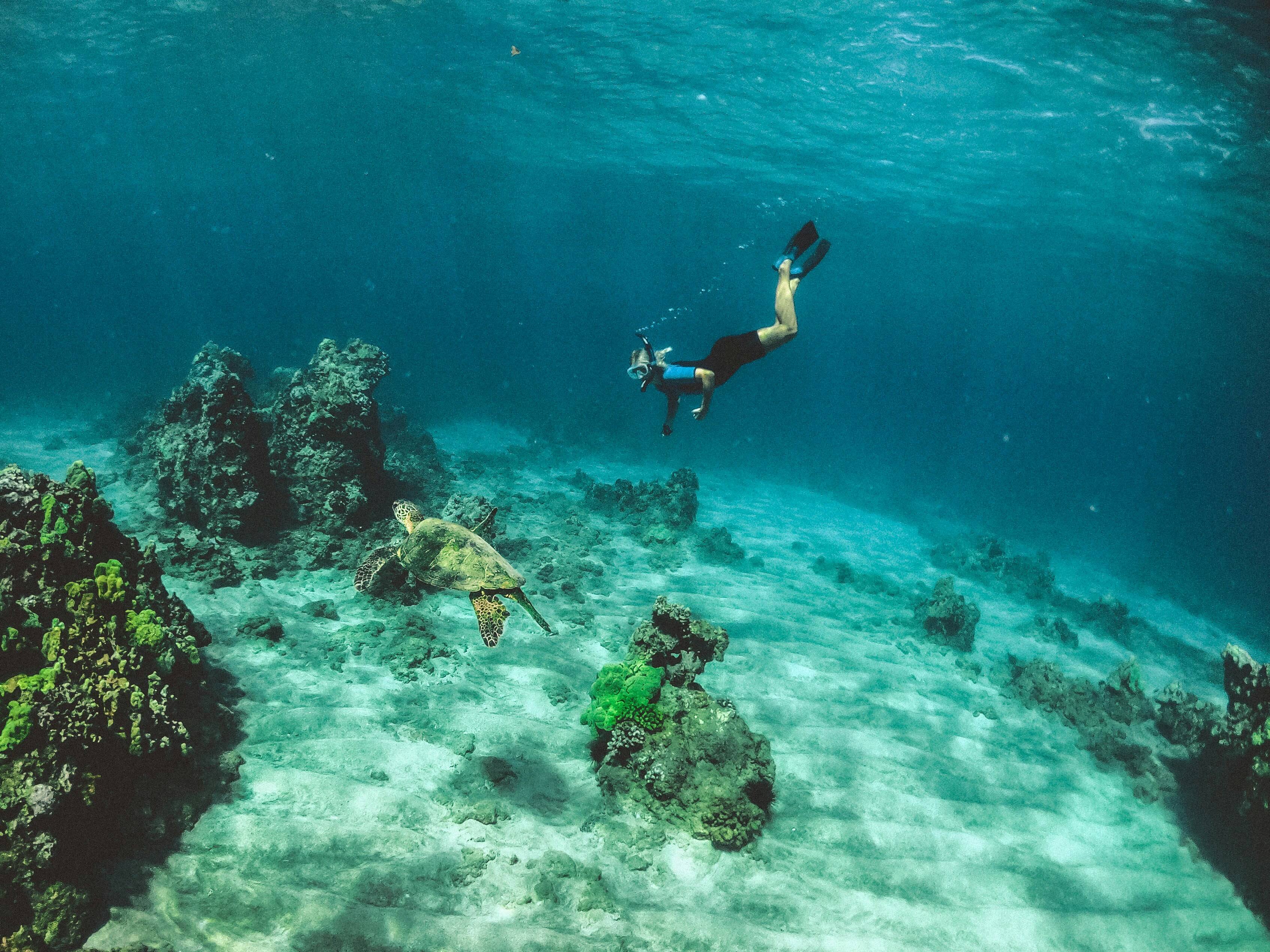 Entendiendo el papel de los equipos de buceo en aguas profundas